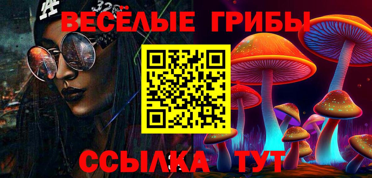 Будённовск  Галлюциногенные грибы прущие грибы  магазин    Вход с VPN 