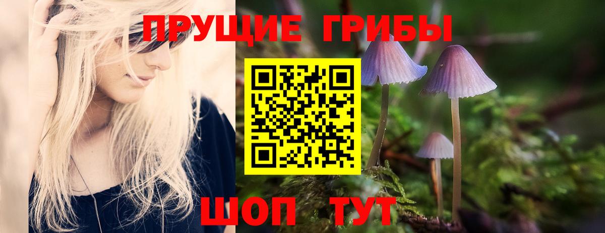 Галлюциногенные грибы прущие грибы Будённовск